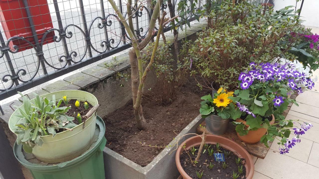 Monteceneri 9 B&B Ро Экстерьер фото